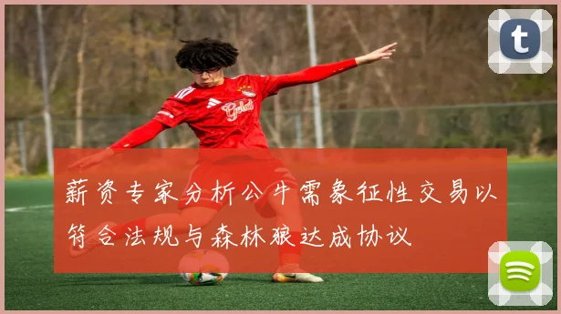 薪资专家分析公牛需象征性交易以符合法规与森林狼达成协议